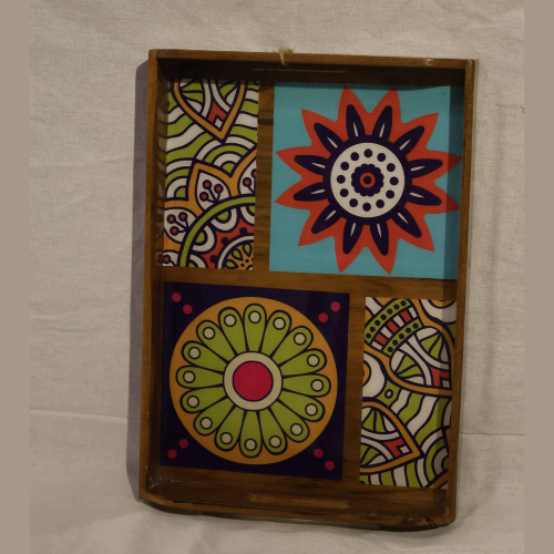 Vibrant Harmony – Multicolor Decorative Tray Wall Art