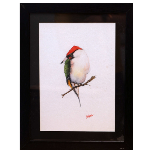 Scarlet Crown – Water Painting
